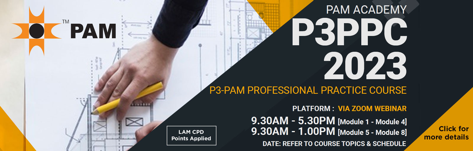 P3-PAM Professional Practice Course 2023